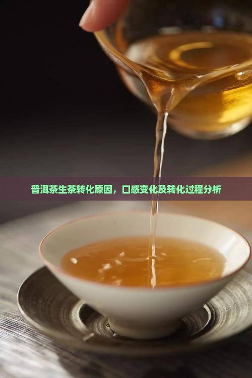 普洱茶生茶转化原因