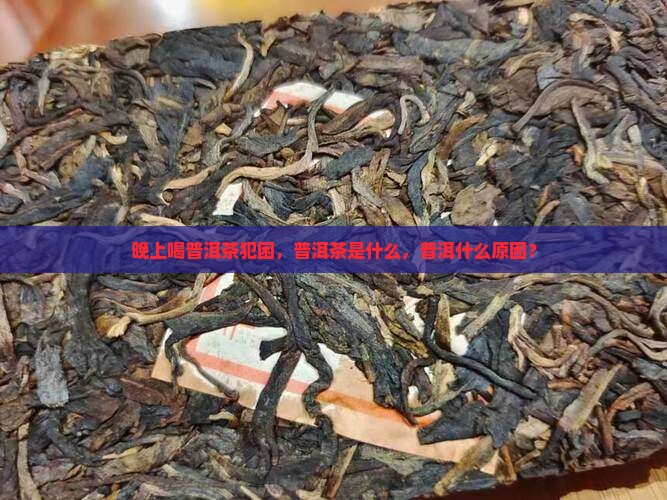 晚上喝普洱茶犯困