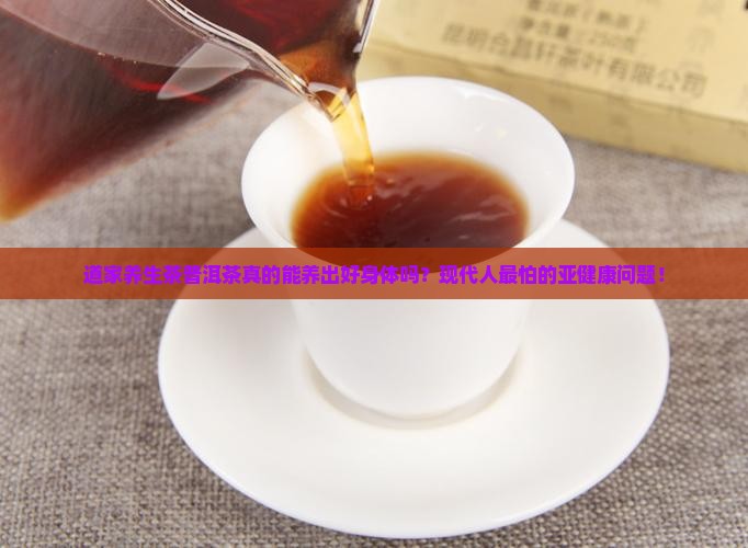 道家养生茶普洱茶