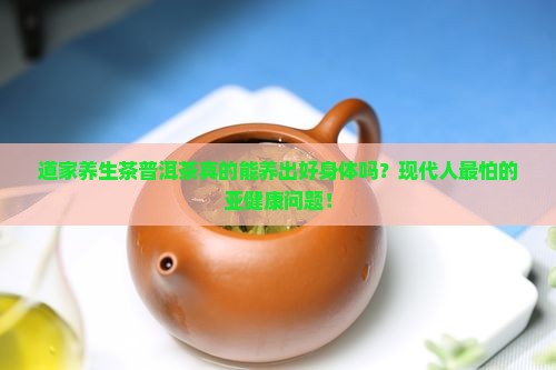 道家养生茶普洱茶