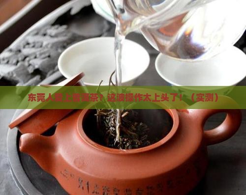 当一个东莞人爱上了普洱茶