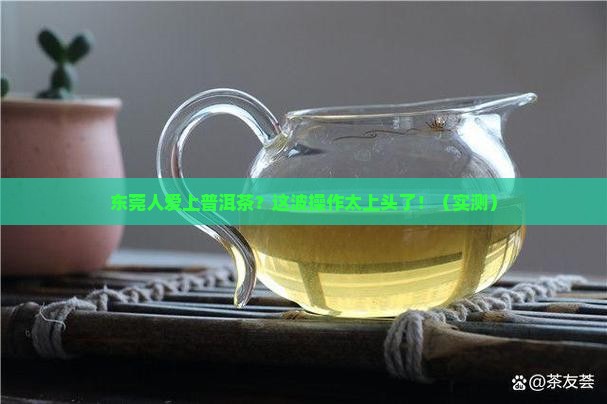 当一个东莞人爱上了普洱茶