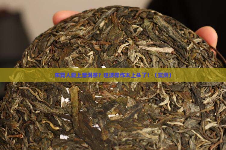 当一个东莞人爱上了普洱茶
