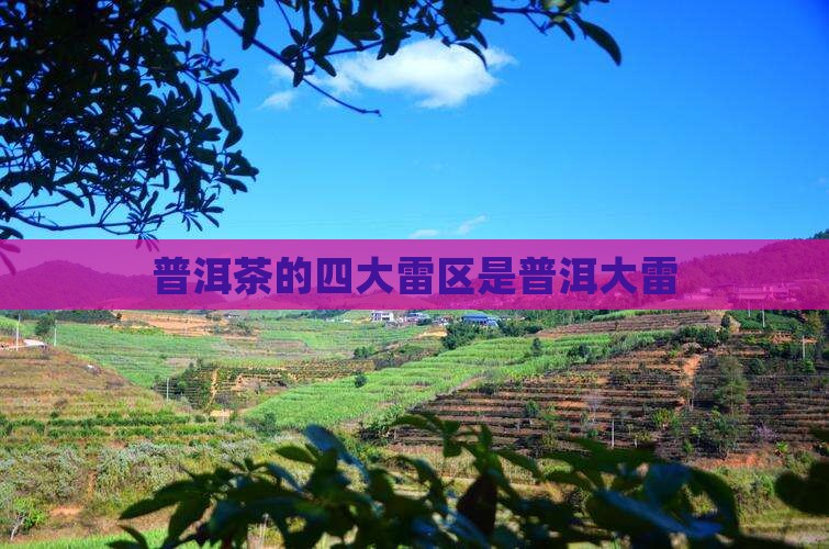 普洱茶的四大雷区是
