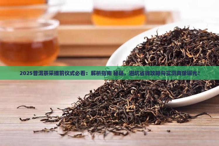 普洱茶采摘前仪式