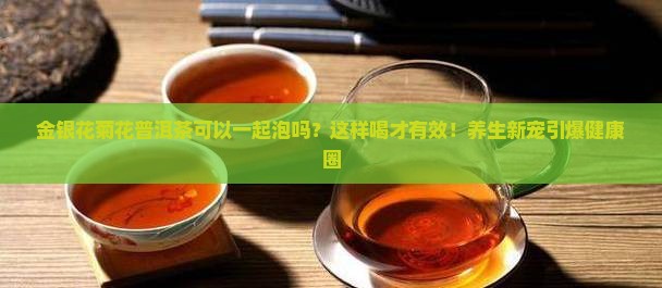 金银花菊花普洱茶可以一起泡吗