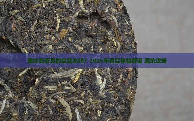 喝冰岛茶的个人感受