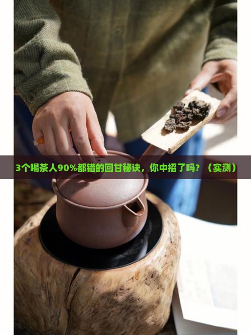 普洱茶回甘无穷