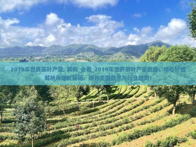 2019年世界茶叶产量