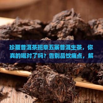 珍藏普洱茶班章五寨普洱生茶