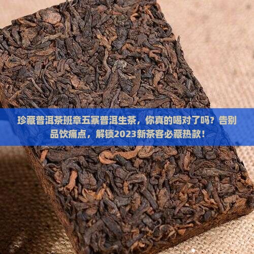 珍藏普洱茶班章五寨普洱生茶
