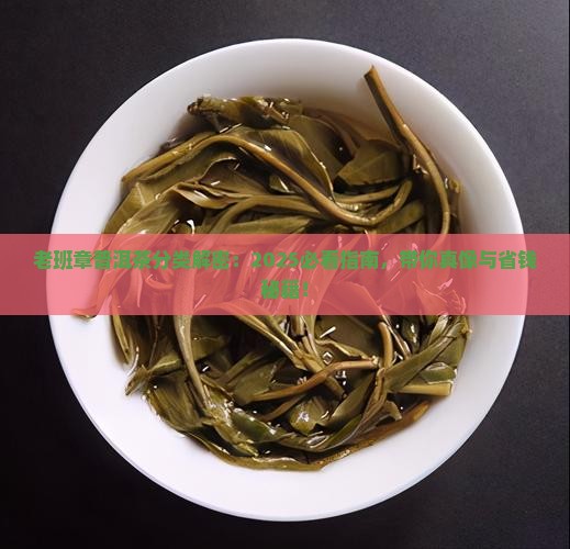 老班章普洱茶的分类