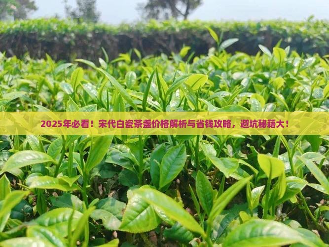 宋代白瓷茶盏价格