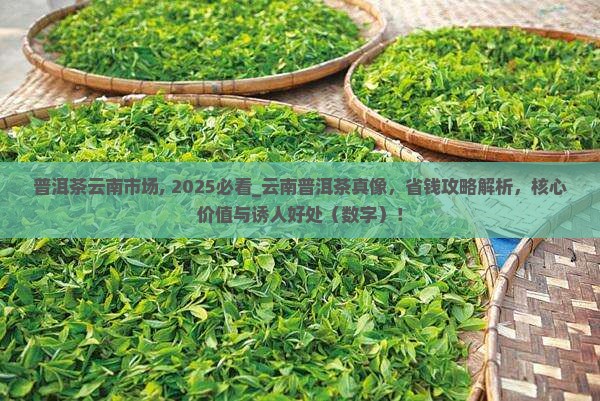 普洱茶云南市场