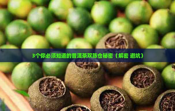 普洱茶双陈仓概念