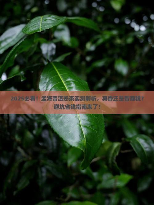 孟海普洱茶熟茶怎么样啊