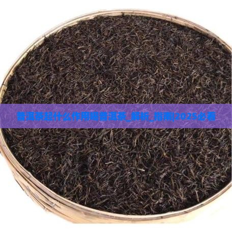 普洱茶起什么作用喝普洱茶