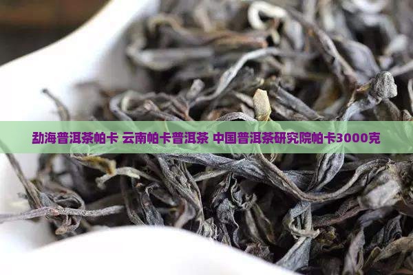 勐海普洱茶帕卡