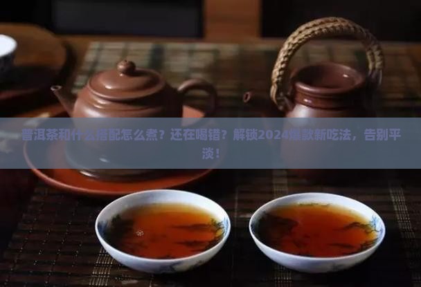 普洱茶和什么搭配怎么煮