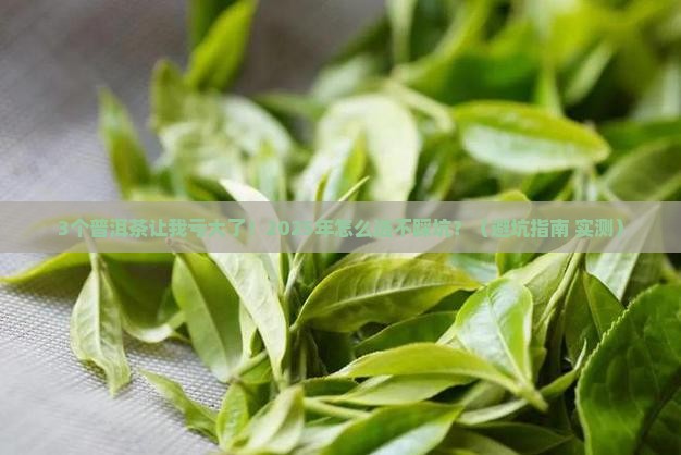 普洱茶品牌折扣市场分析