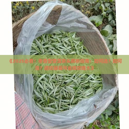 枣香型普洱茶头