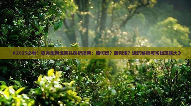 枣香型普洱茶头