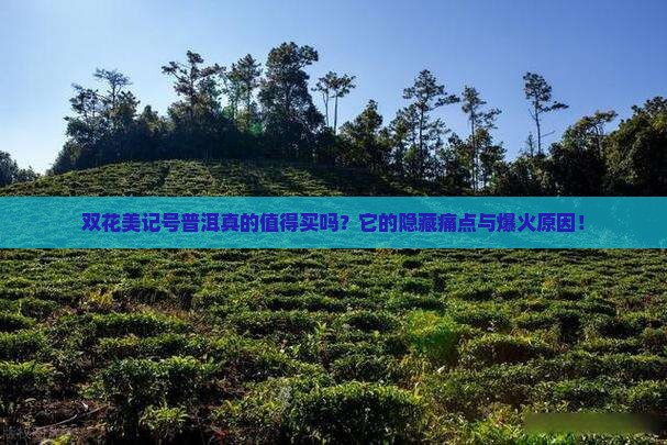 双花美记号普洱