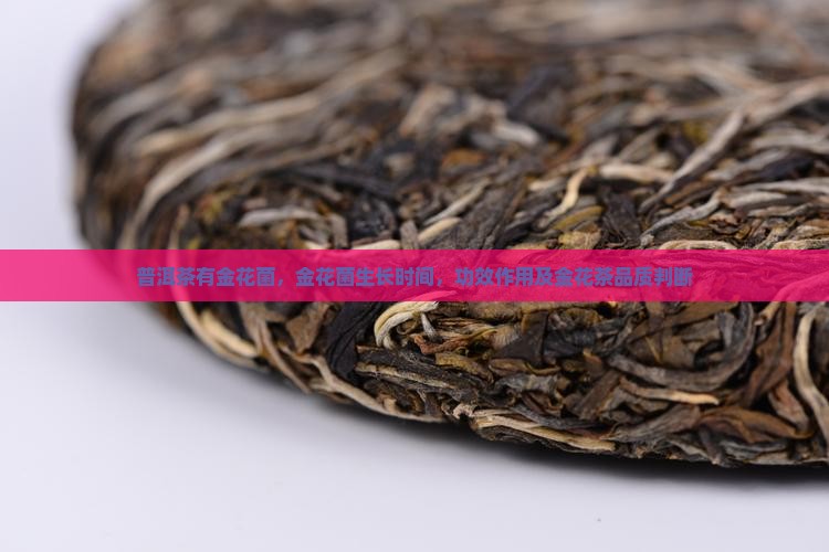 普洱茶有金花菌
