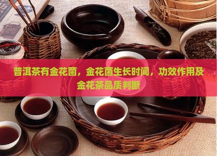 普洱茶有金花菌