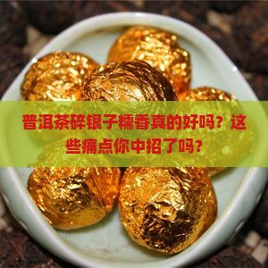 普洱茶碎银子糯香排行