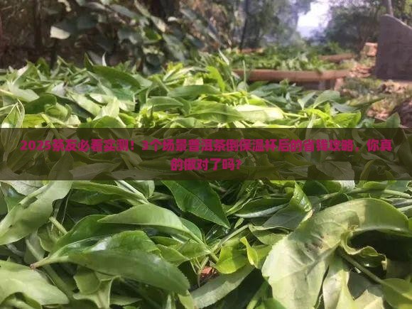 普洱茶泡好后倒入保温杯