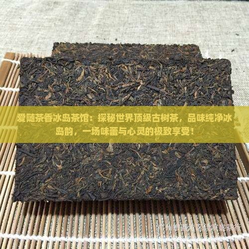 爱随茶香冰岛茶馆