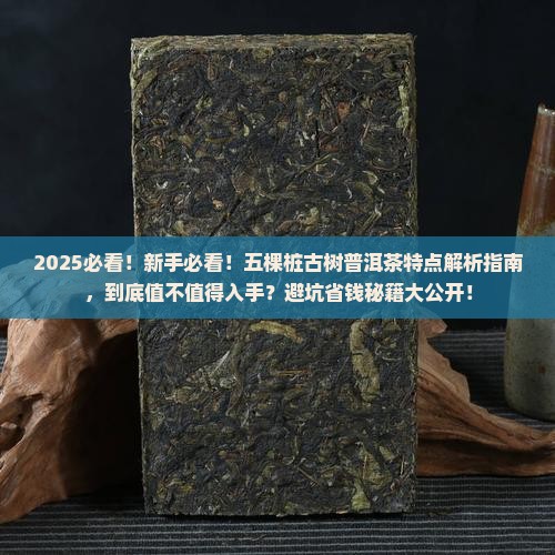 五棵桩古树普洱茶特点