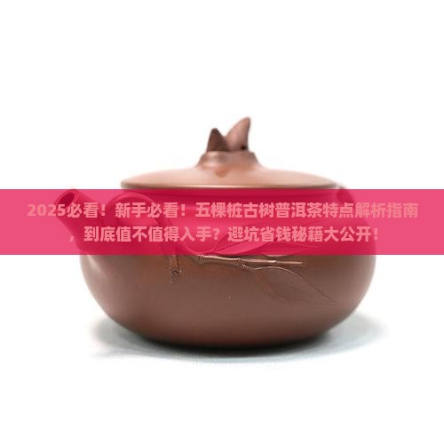 五棵桩古树普洱茶特点
