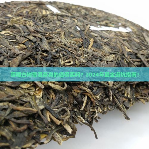 嘎哩古树普洱茶