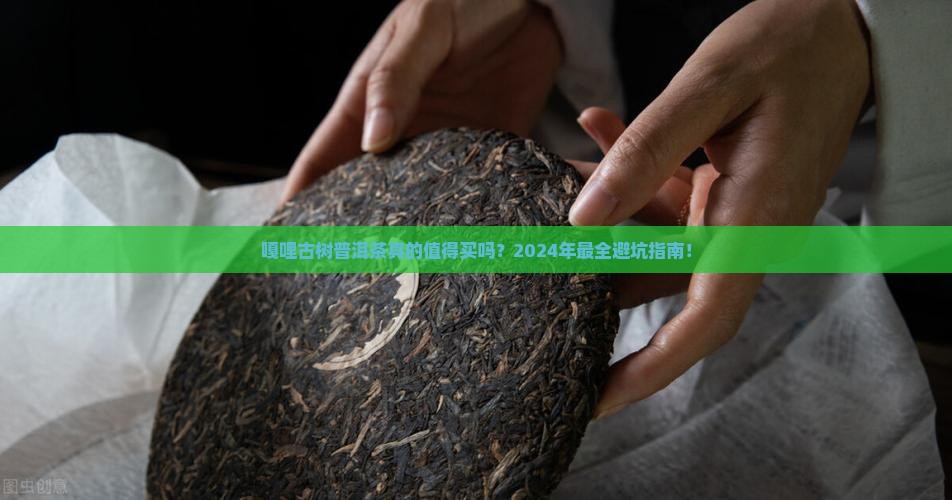 嘎哩古树普洱茶