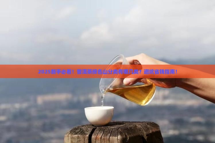 普洱茶按名山分类为哪类