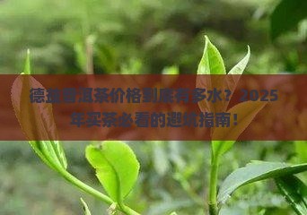 德益普洱茶价格