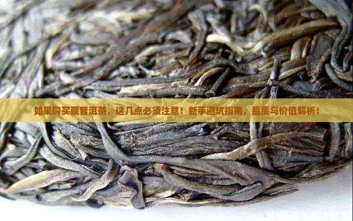 如果购买藏普洱茶