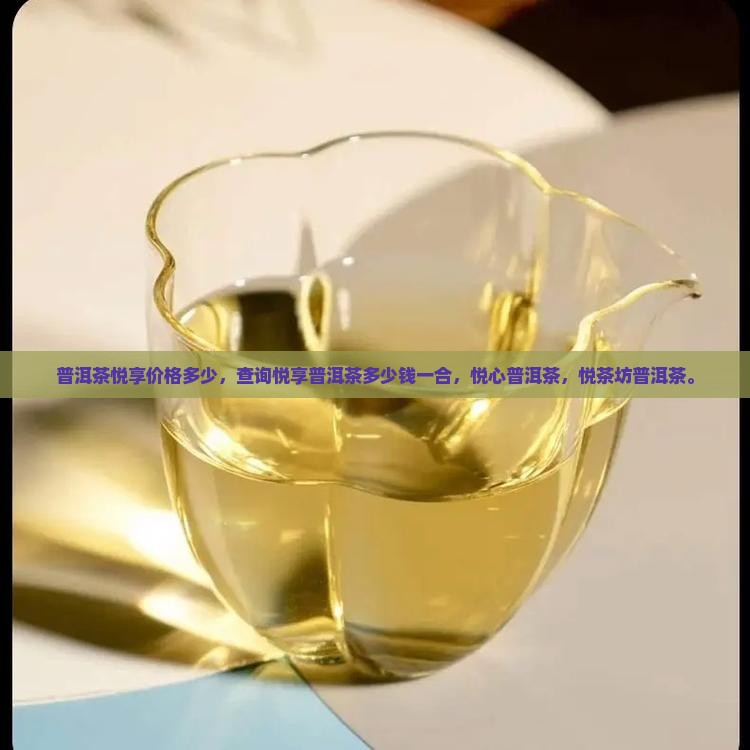 普洱茶悦享价格