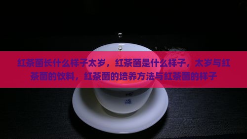 红茶菌长什么样子太岁