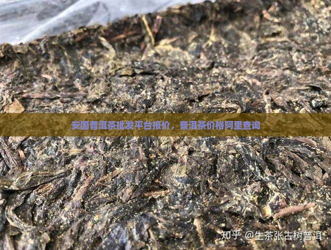 安国普洱茶干平台报价