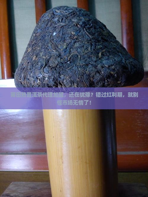 莆田熟普洱茶代理加盟