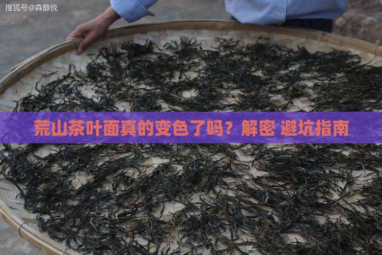 荒山茶叶面成什么颜色