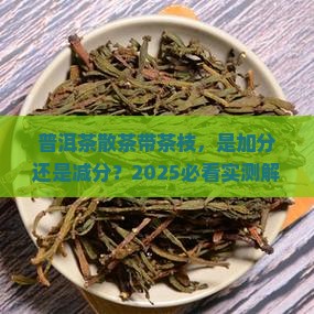 普洱茶散茶有茶枝好不好