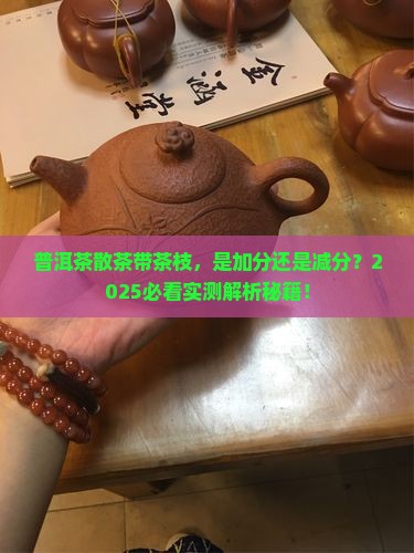 普洱茶散茶有茶枝好不好