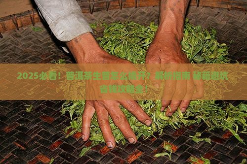普洱茶生普怎么撬开