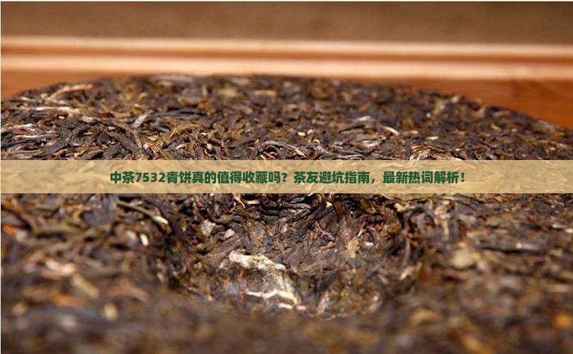 中茶7532青饼