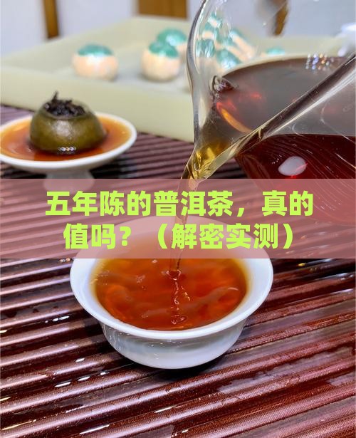 普洱茶五年陈酿