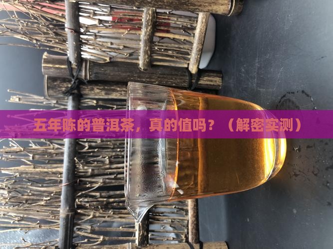 普洱茶五年陈酿